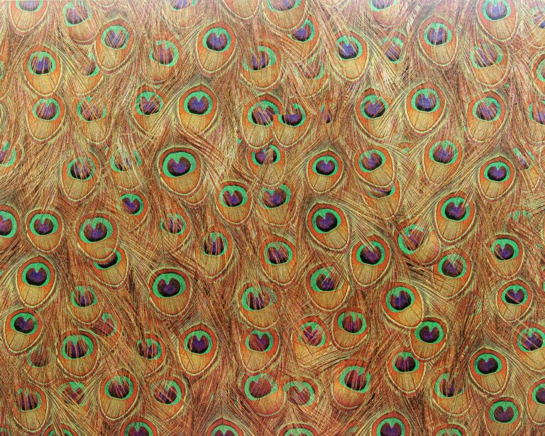 Peafowl Gold