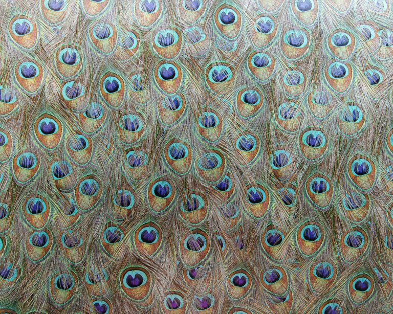 Peafowl Silver