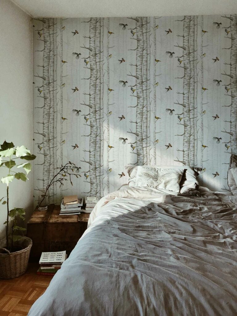 Birch Trees Beige