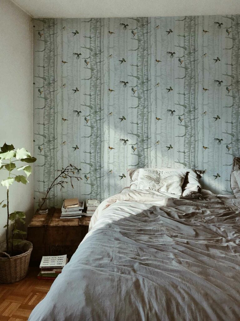 Birch Trees Silvester