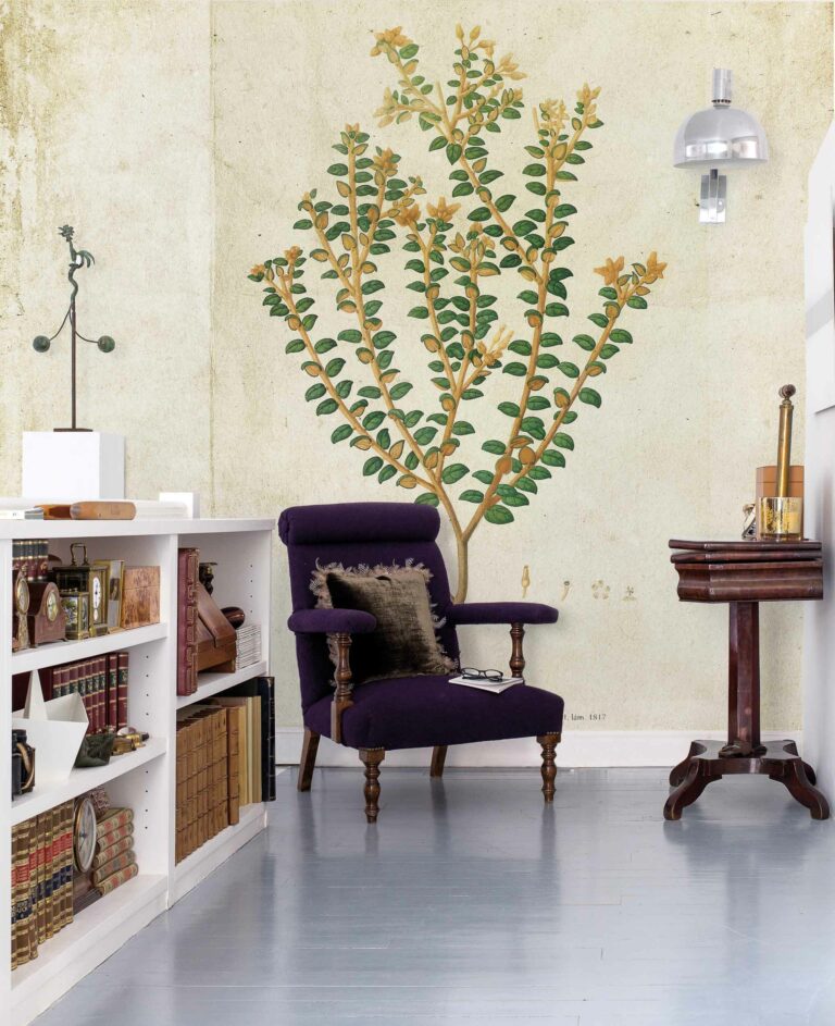 Botanical drawing
