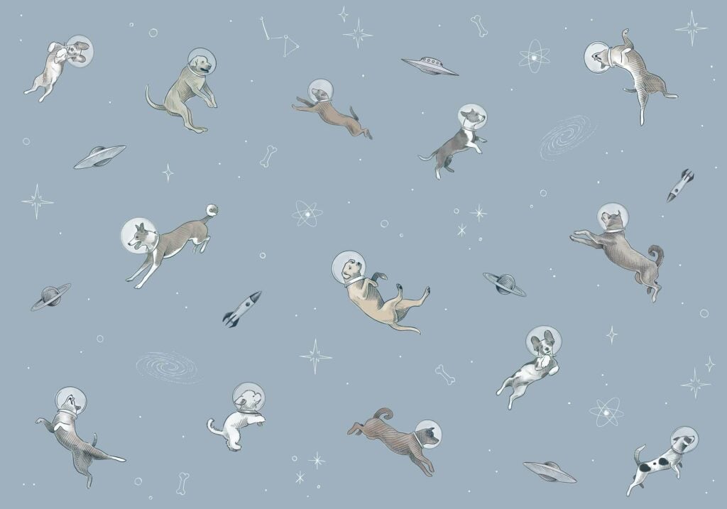 Doggy Gravity Sky