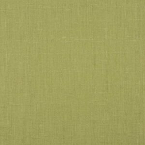 Earthy Olive