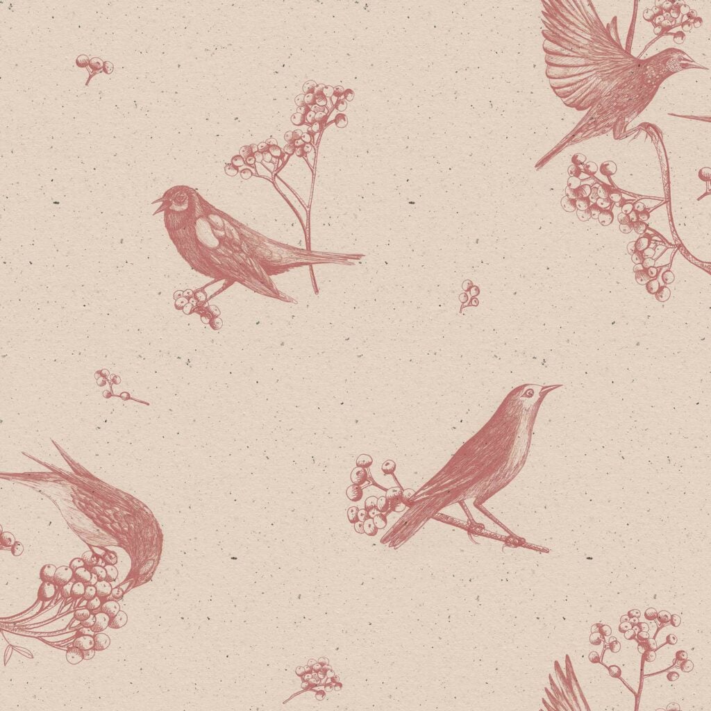 Sweet Birds Rose