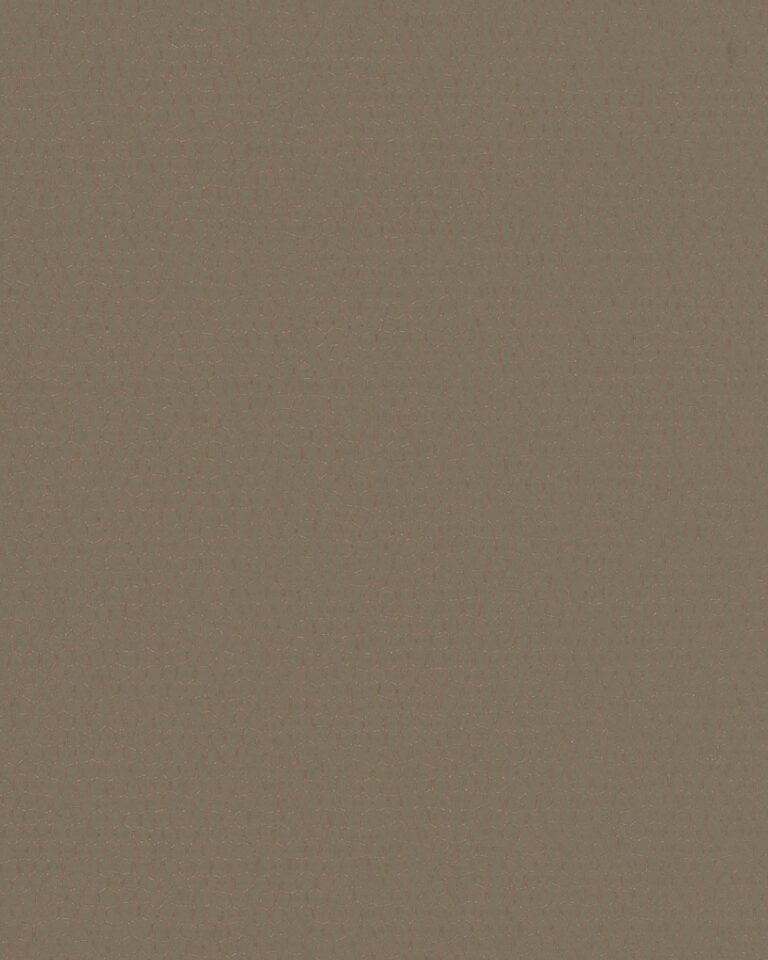 Cocoon Esquire - 6451481