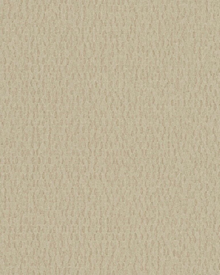 Iguana Sand - 6454839