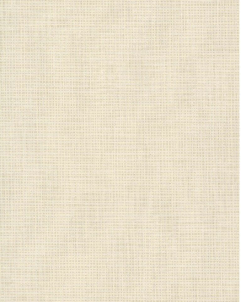 Canvas Sand - 6454863