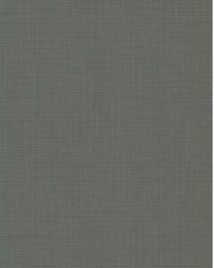 Canvas Charcoal - 6454868