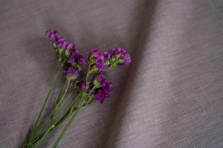 Iceland Mauve