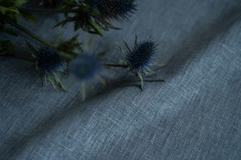 Iceland Thistle