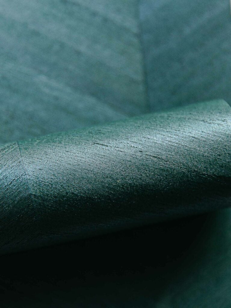Xl-Wheat-Spike Forest