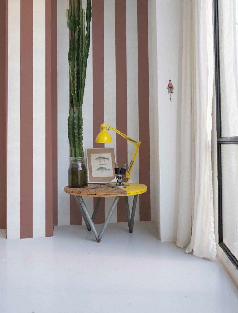 Stripe 8 Gamba