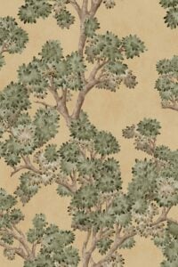 Field-Maple Sunny