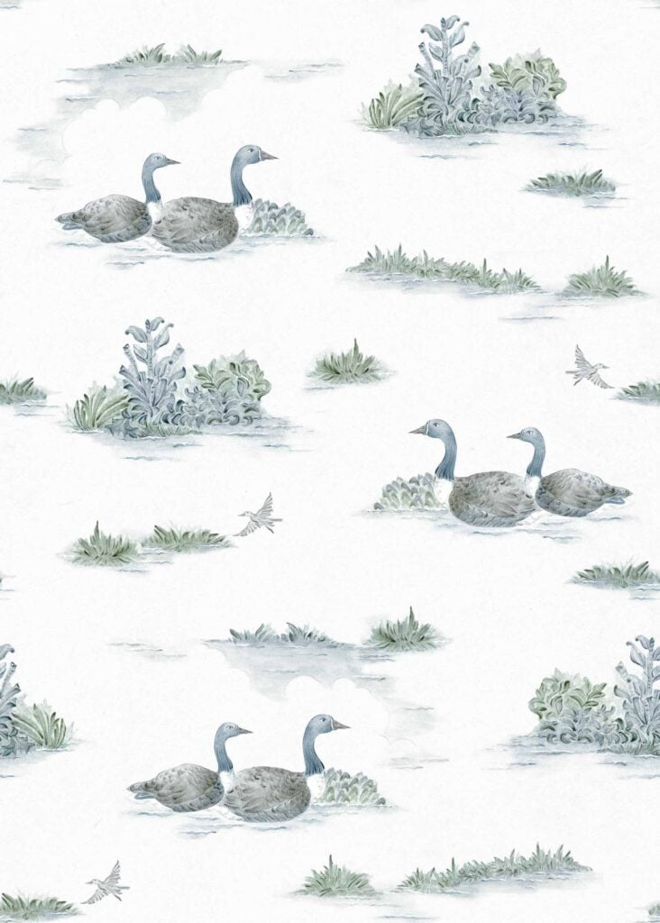 Mallard-Duck Aqua