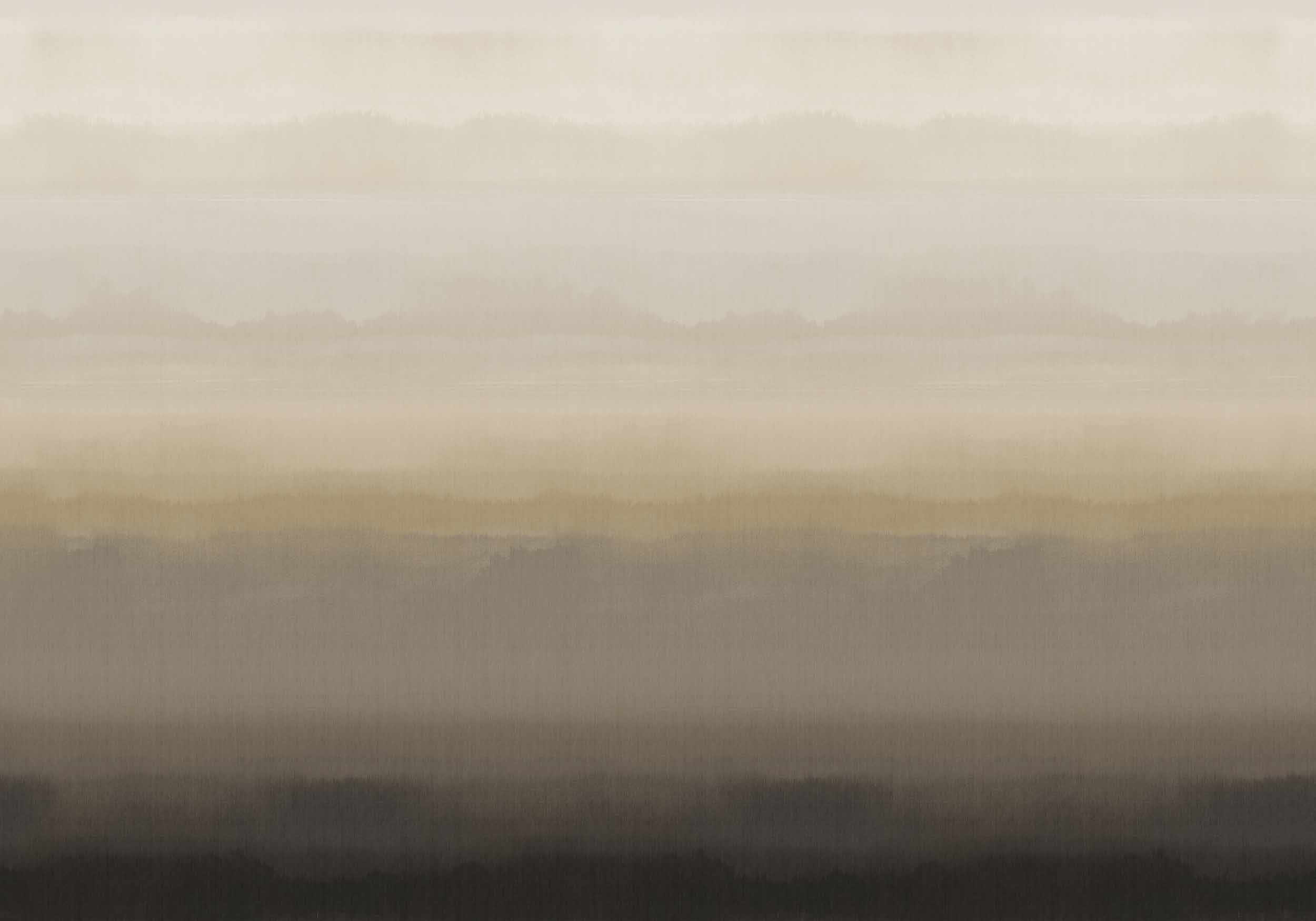 Hinode Cloud