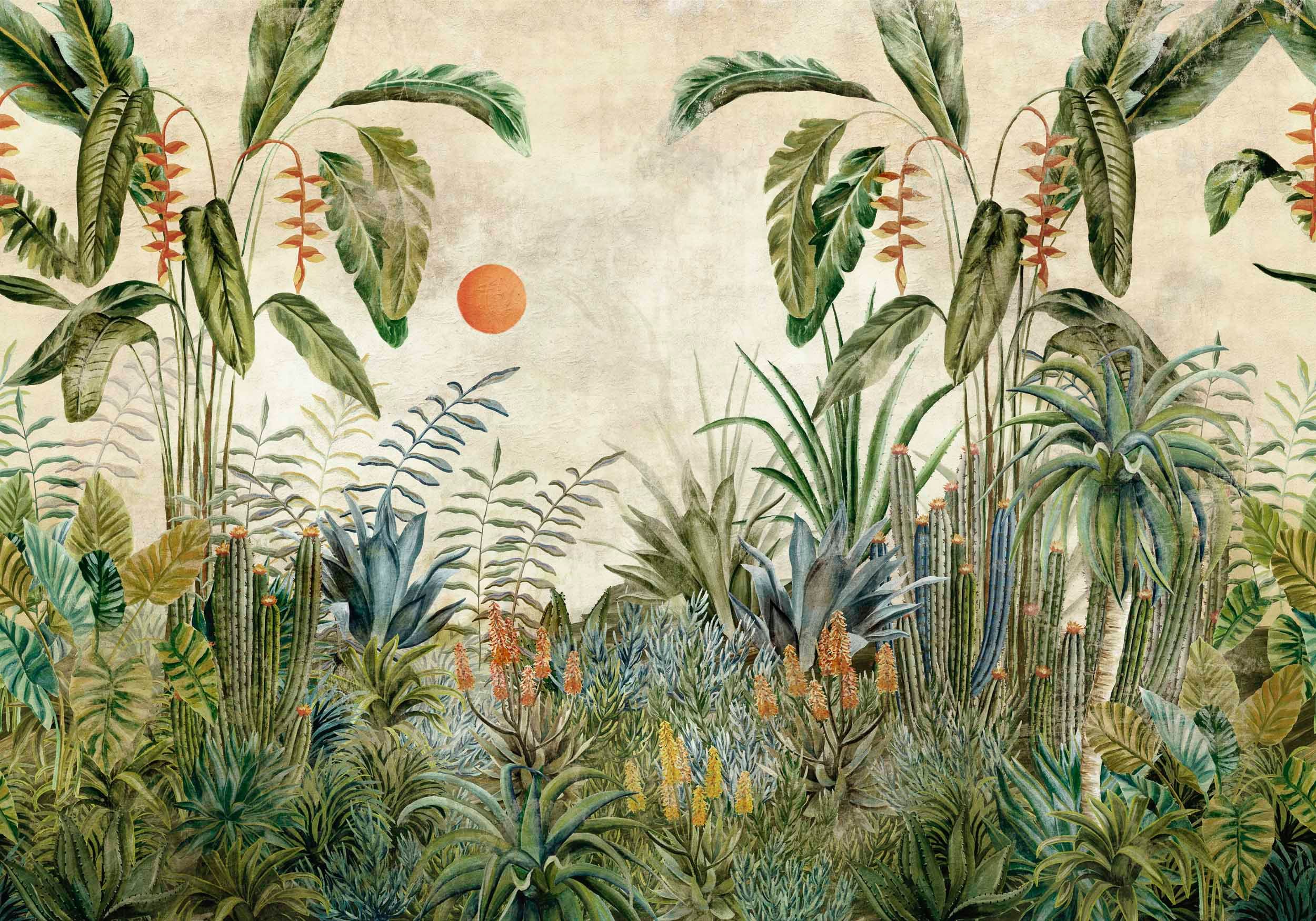 Aduanero Cactus