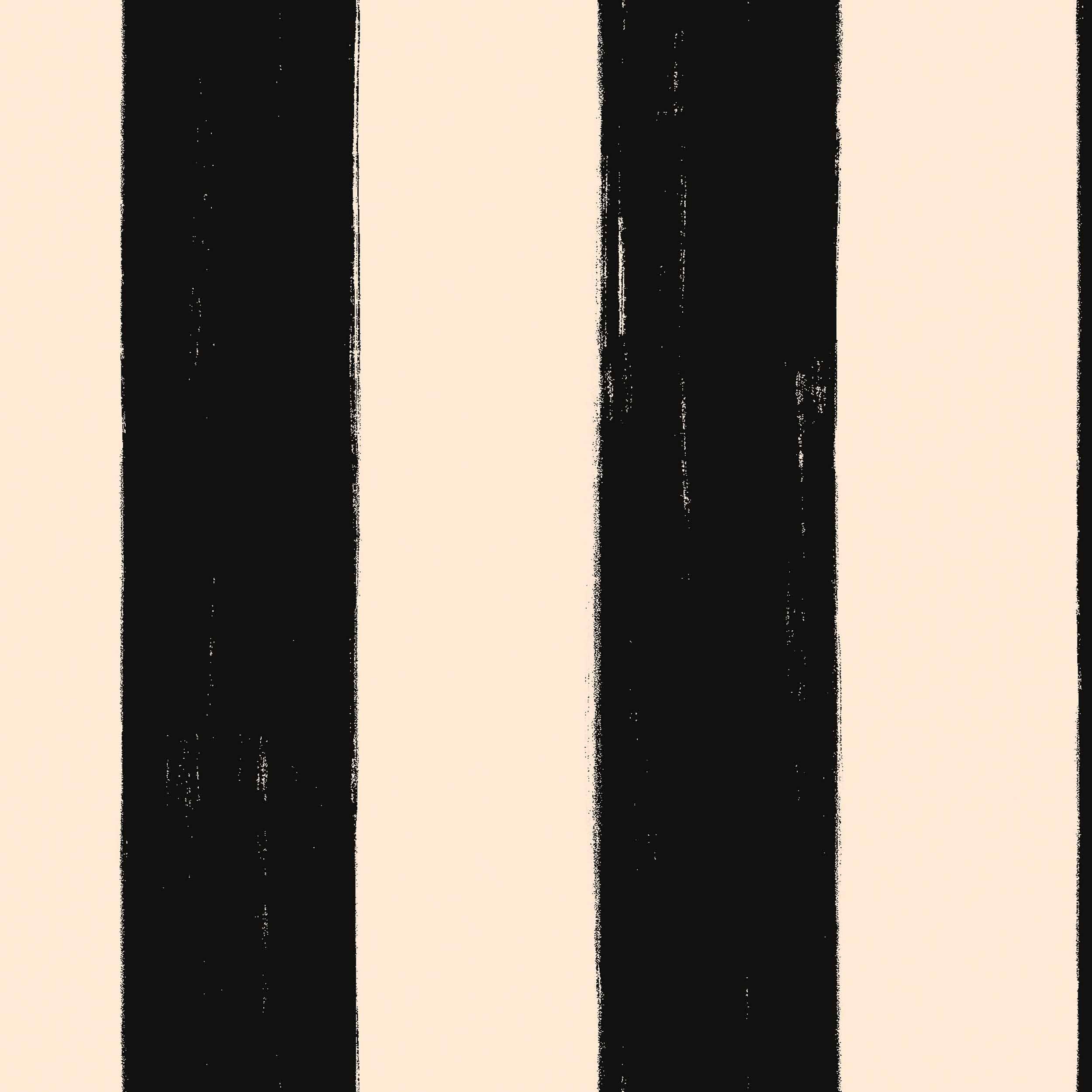 Toldo Noir