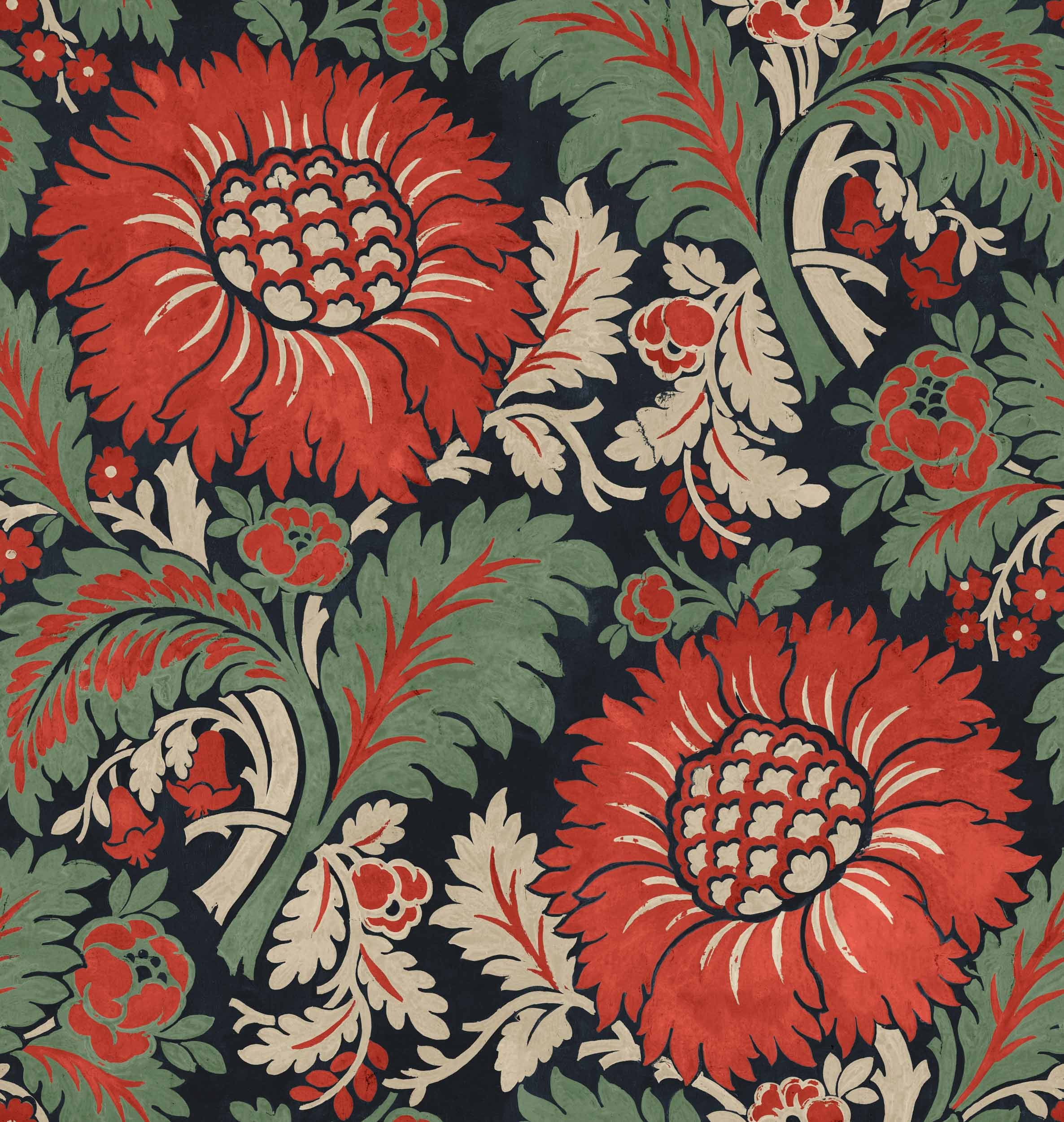 Chinese Damask Sage