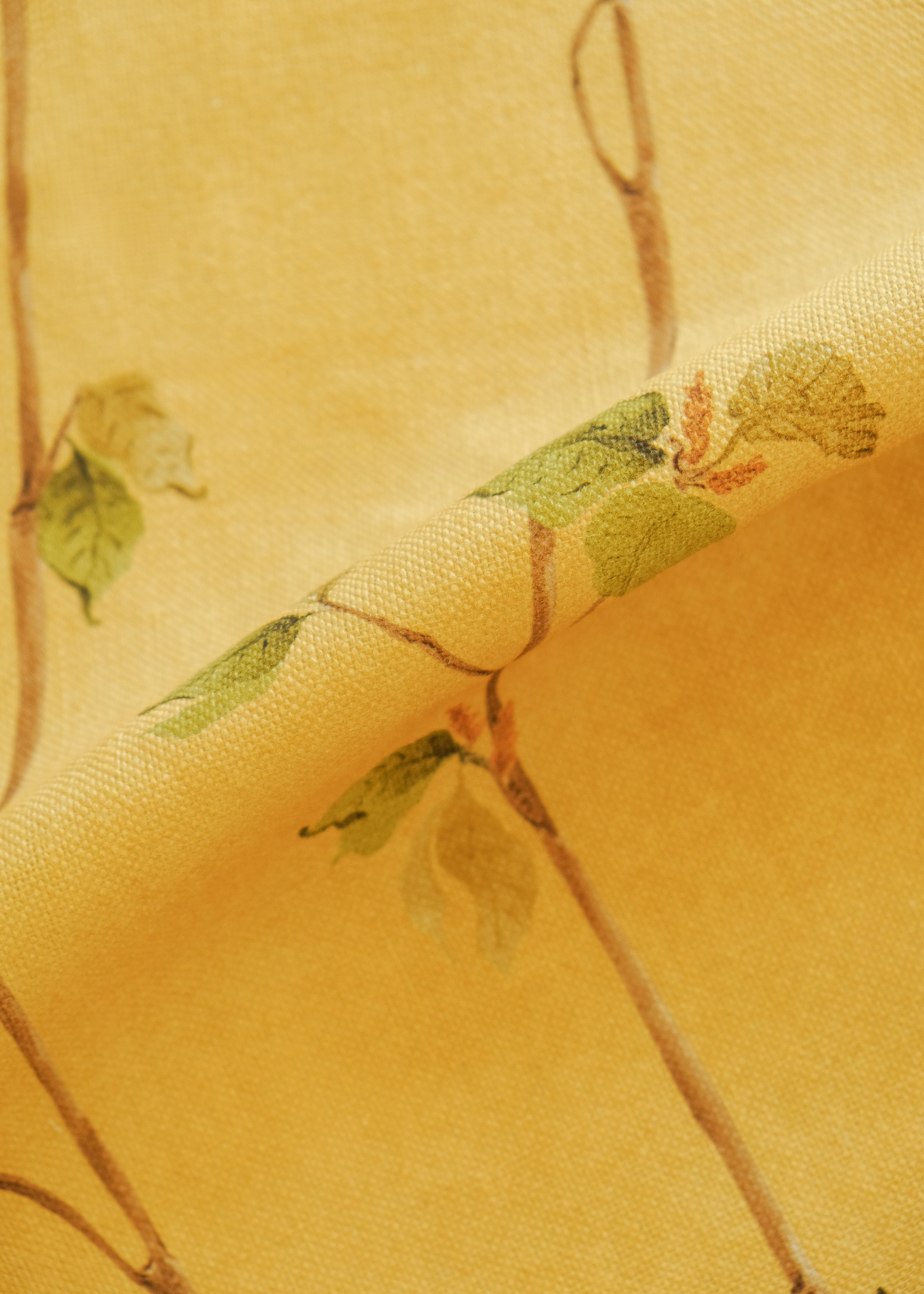 Azahar Ocre