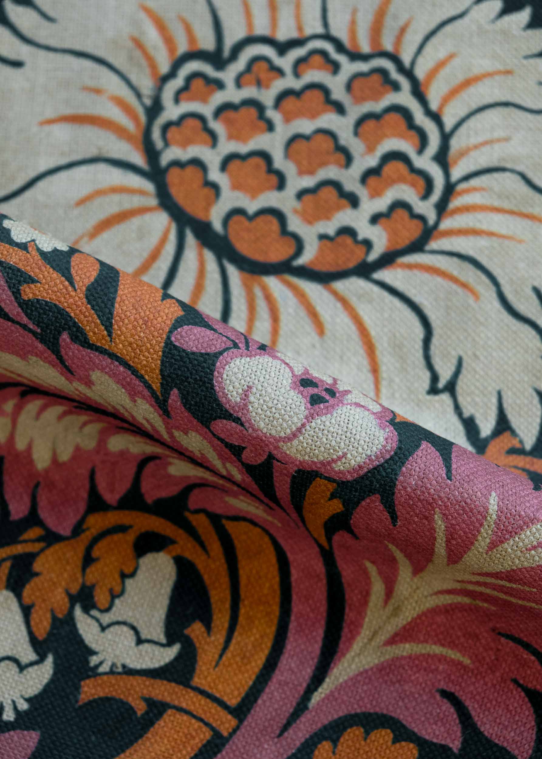 Chinese Damask Coral