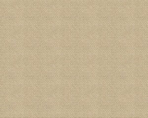 D00219 Yuca