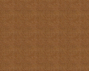 D00221 Yuca