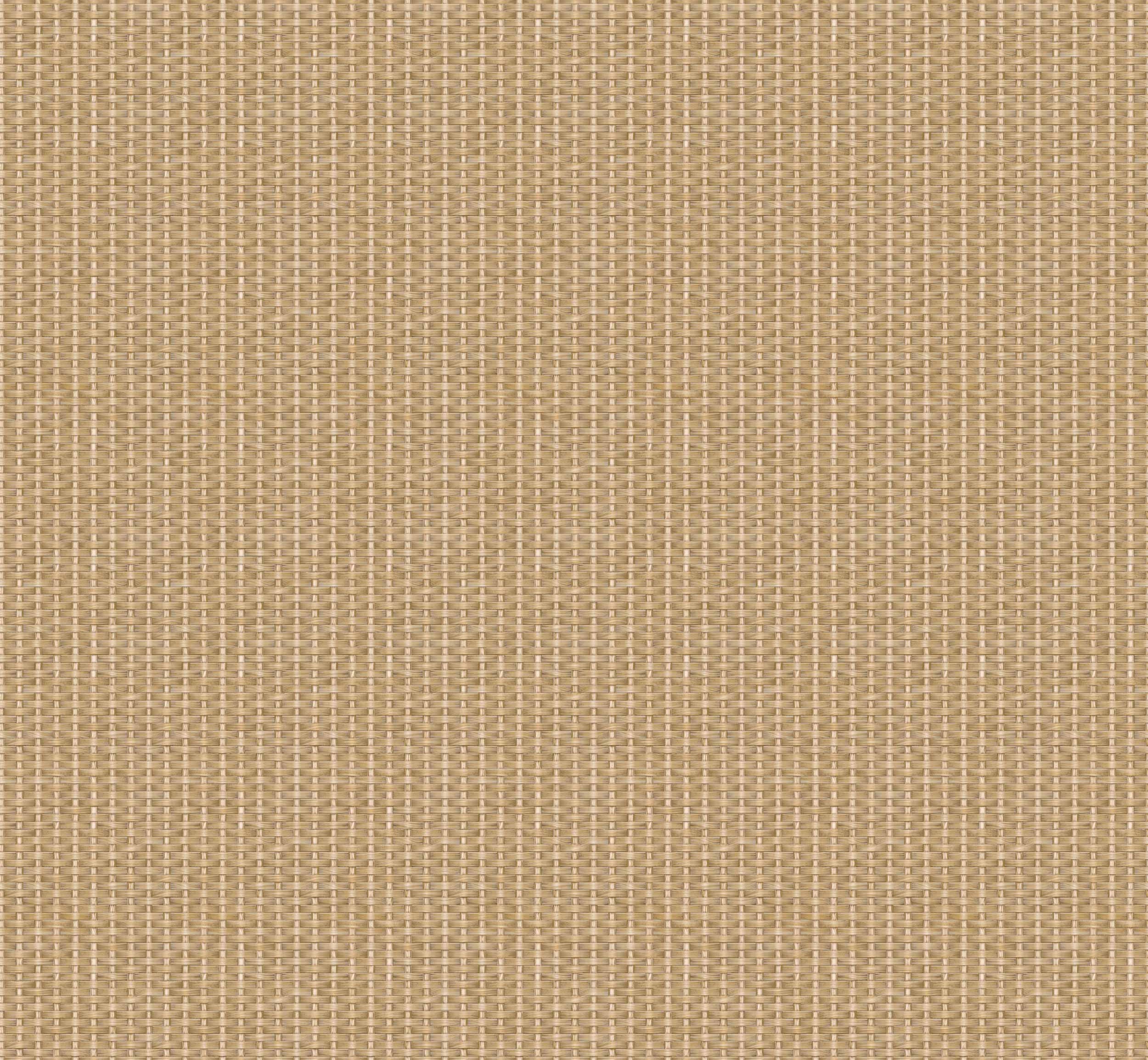 D00237 Kuba