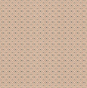 D00243 Mimbre
