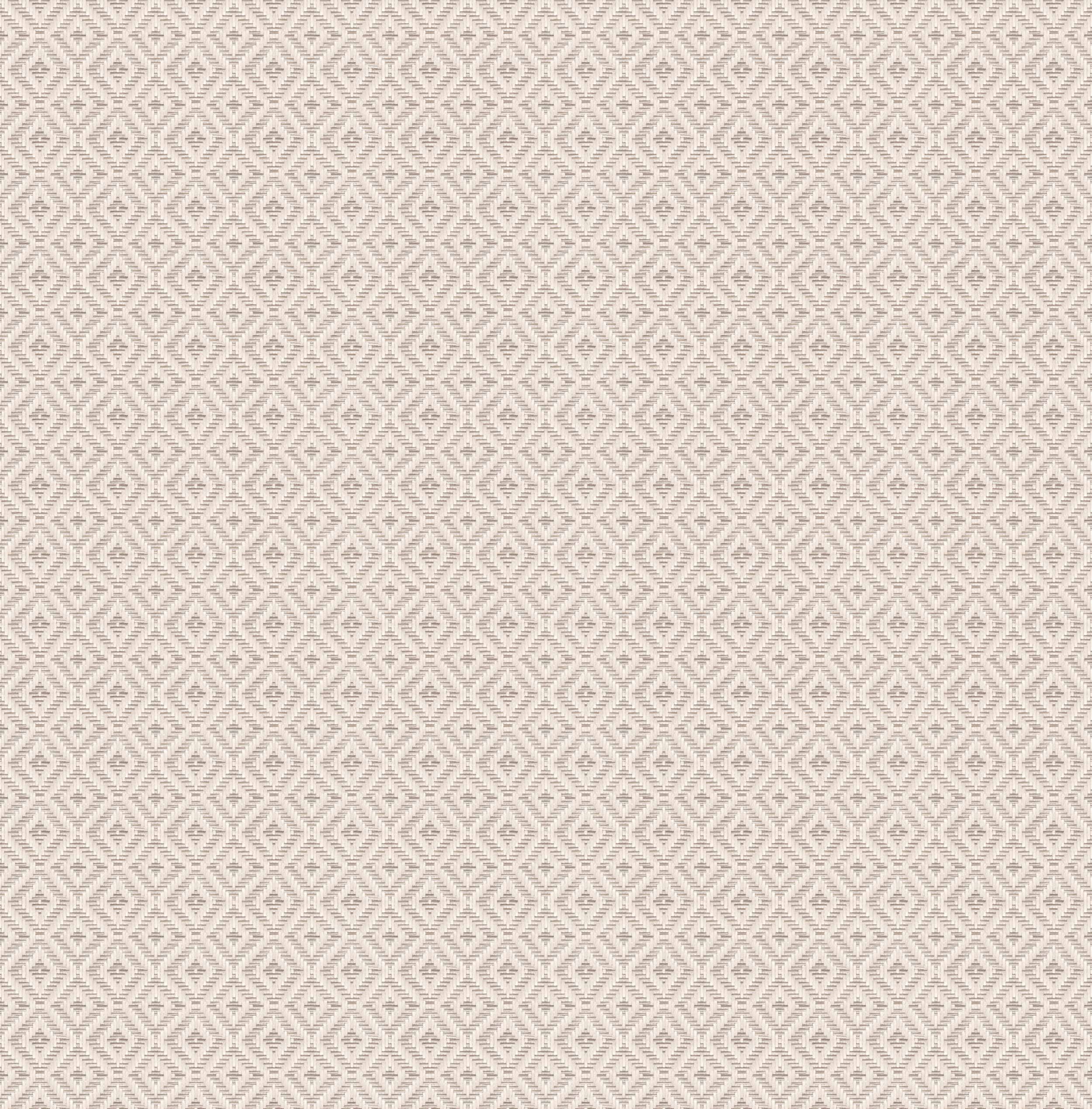 D00247 Mimbre