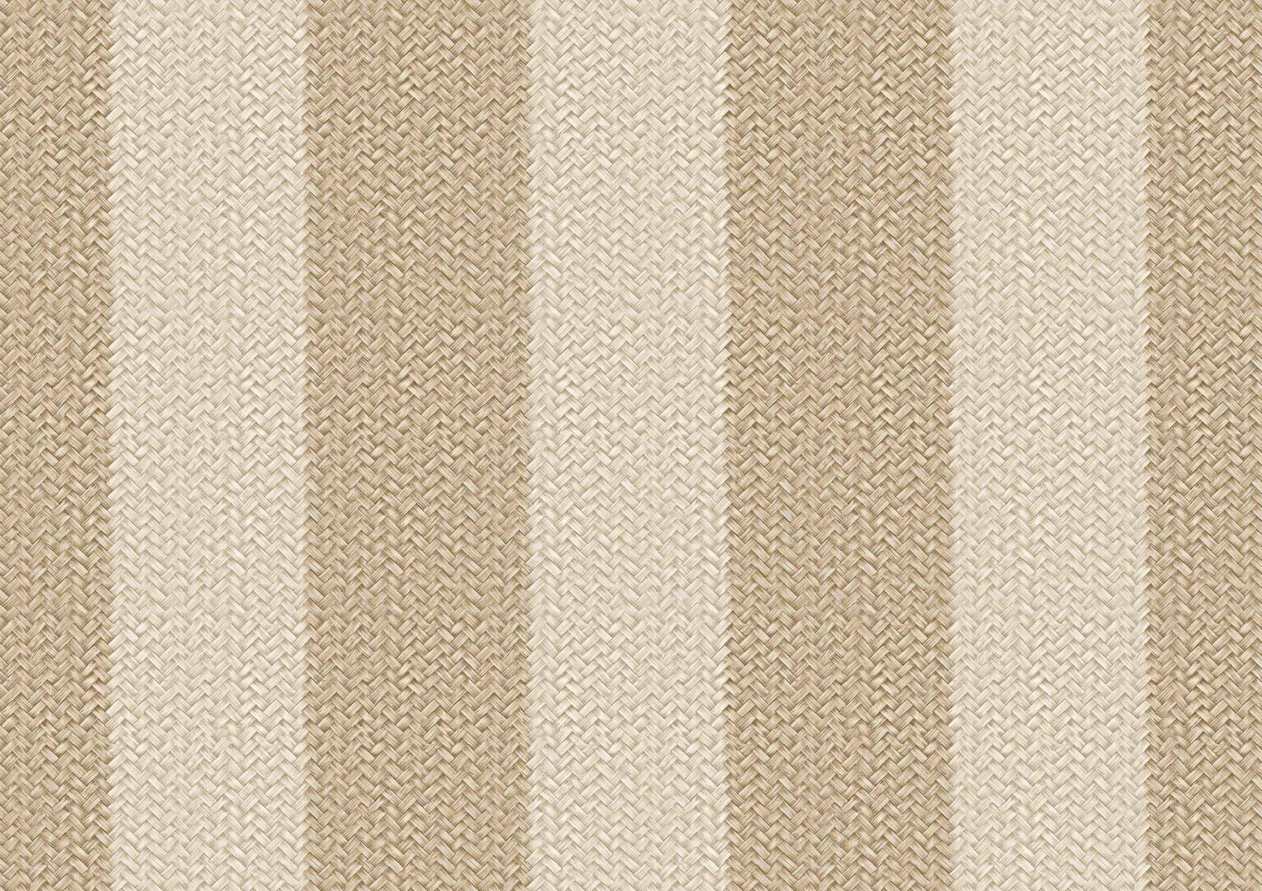 D00269 Palmeral