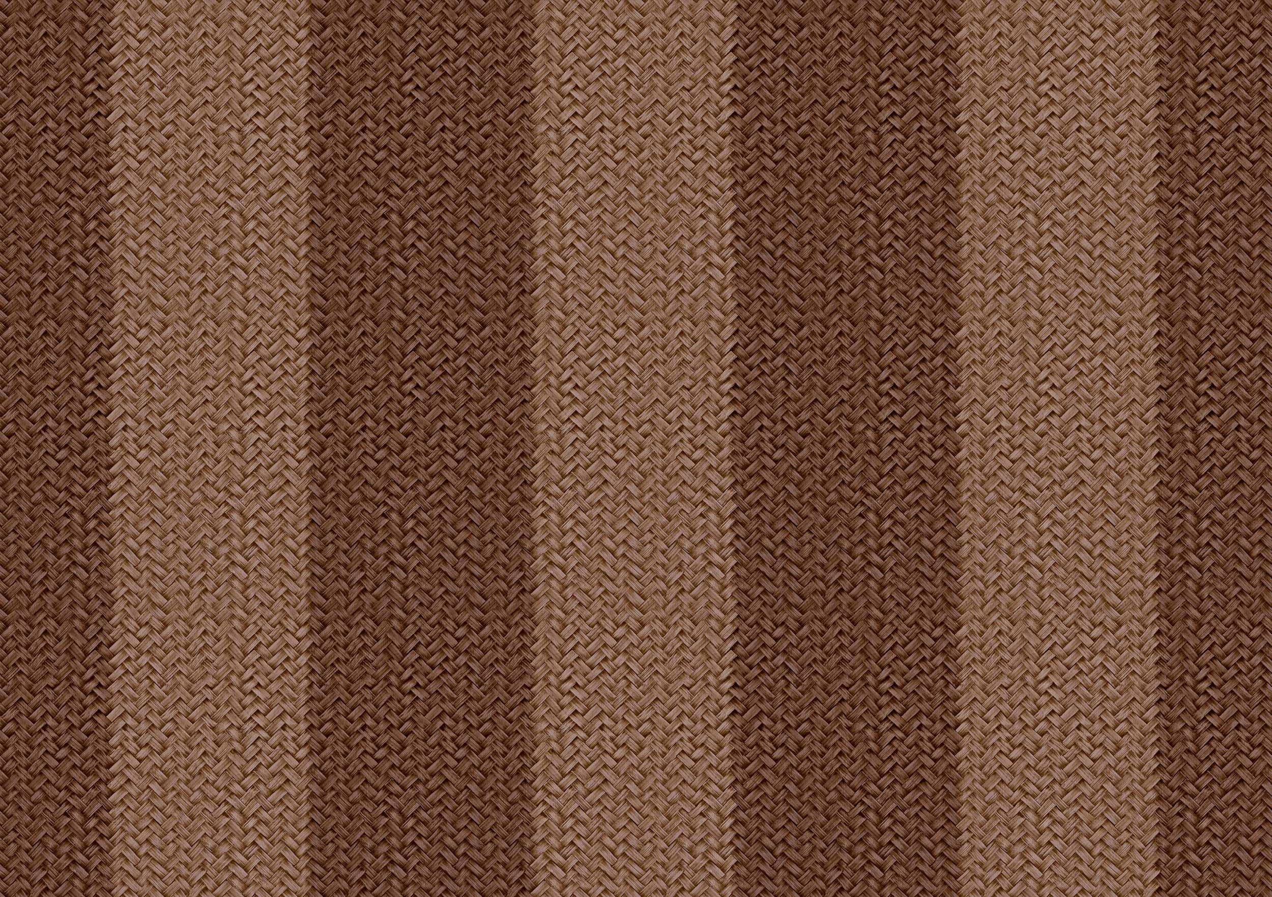 D00270 Palmeral
