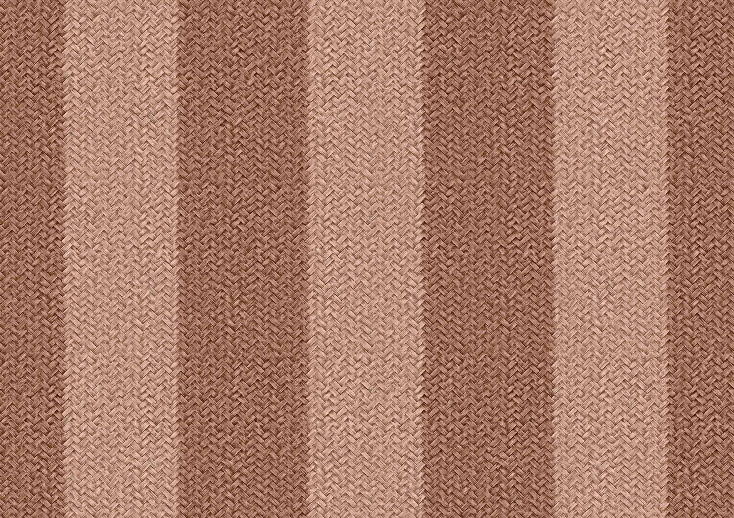 D00271 Palmeral