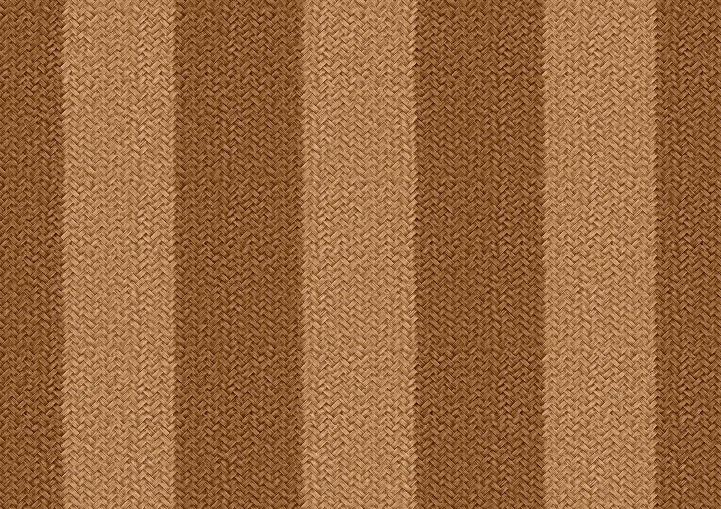 D00272 Palmeral
