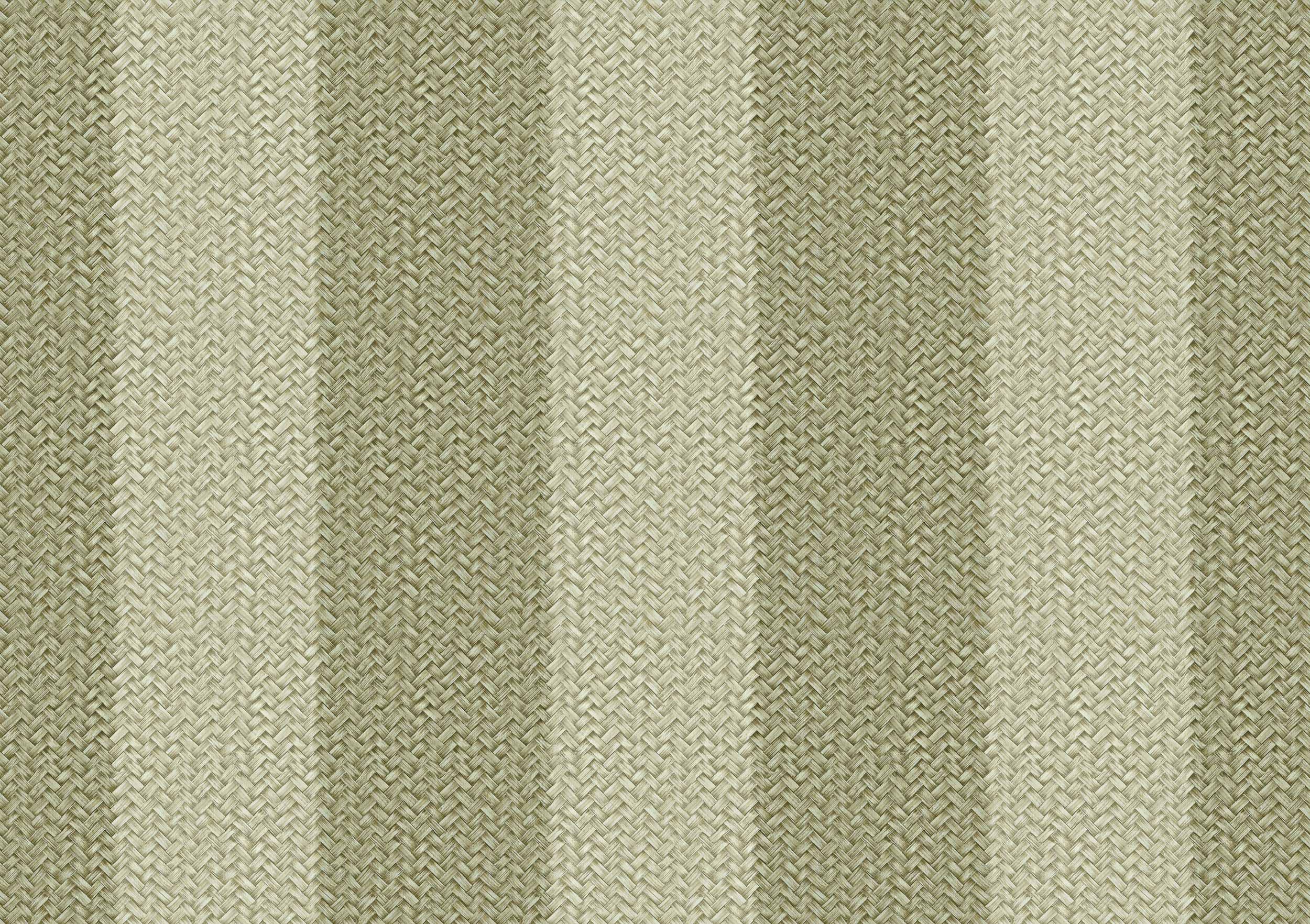D00273 Palmeral