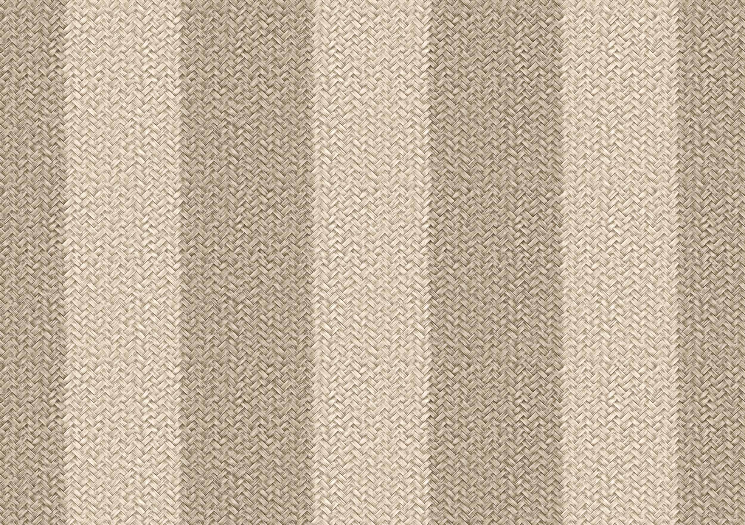 D00274 Palmeral