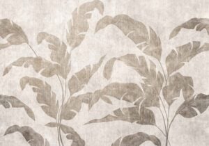 Leaves Shadow Stone