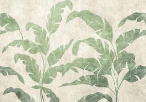 Leaves Shadow Leaves