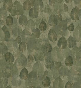 Suman Pistachio