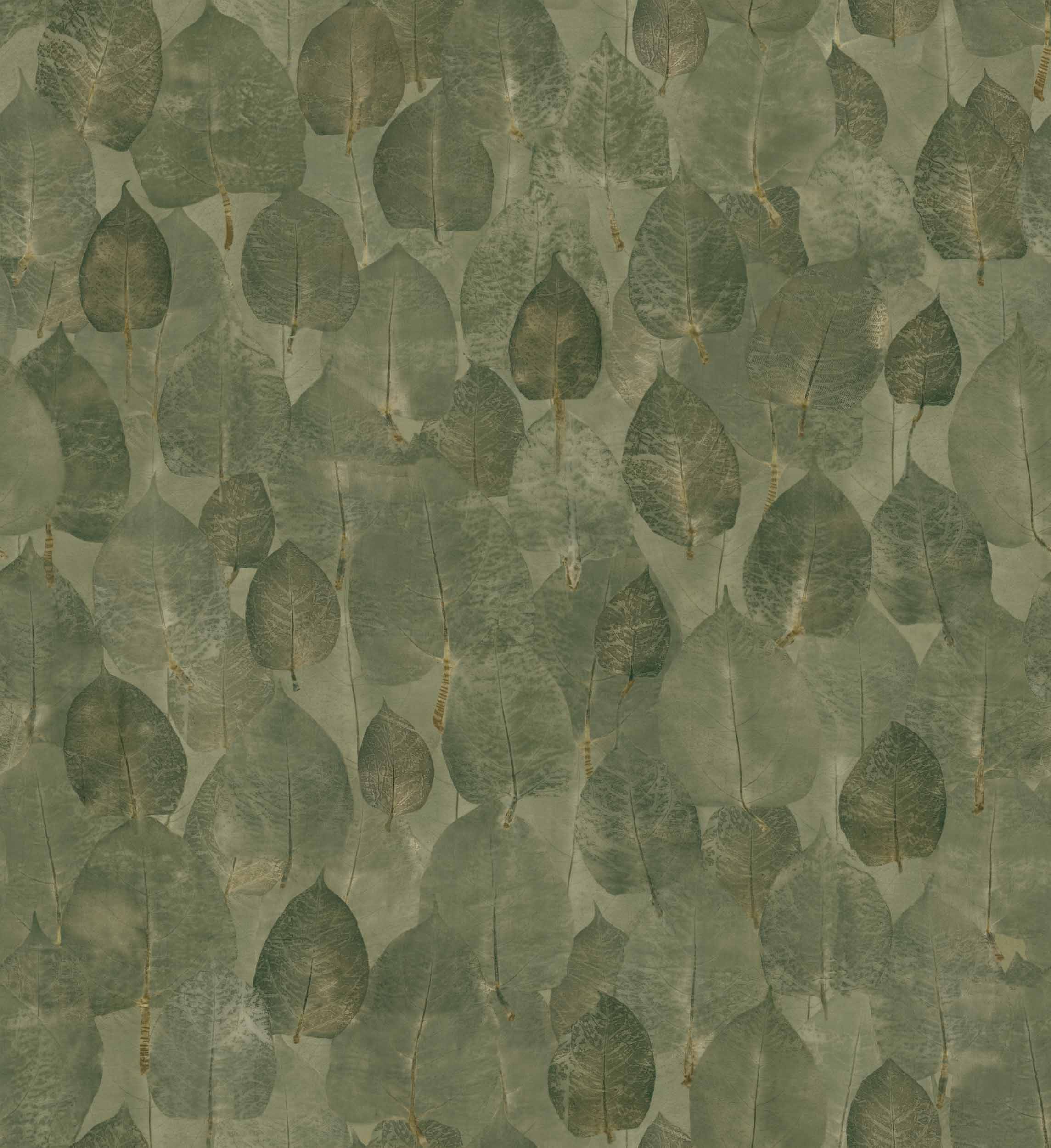 Suman Pistachio