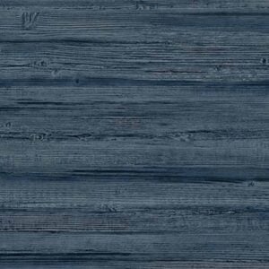 Truncus 64960602