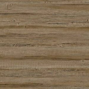 Truncus 64960606