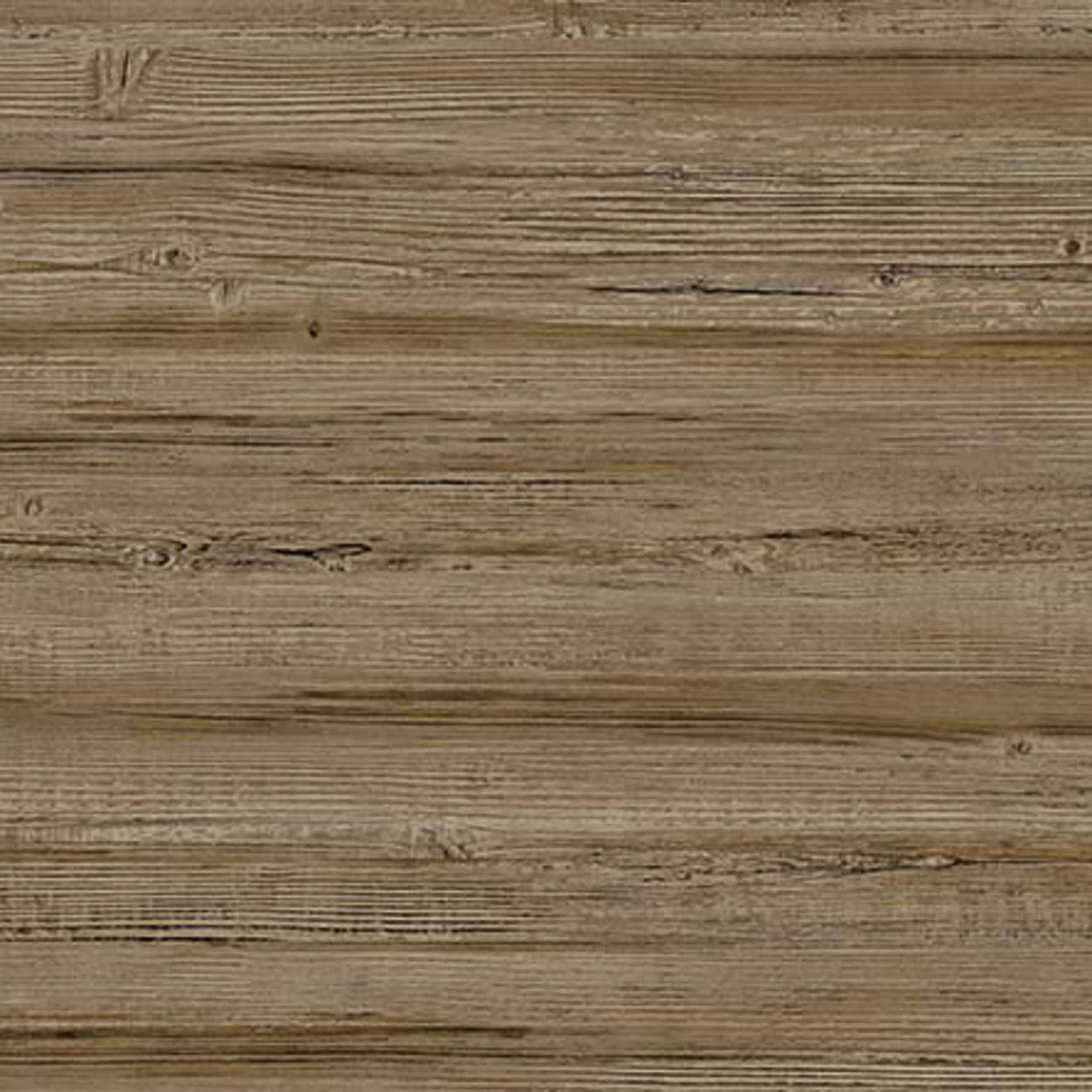 Truncus 64960606