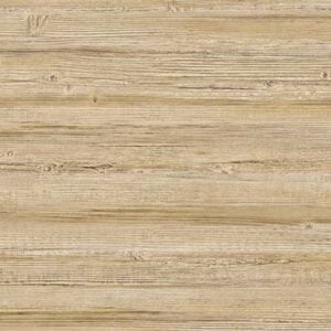 Truncus 64960607