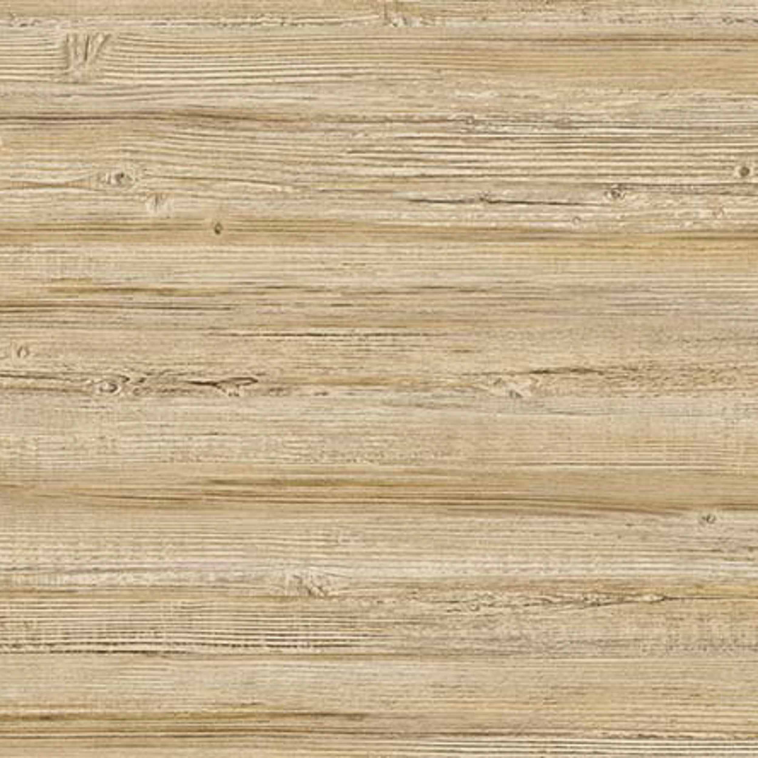 Truncus 64960607