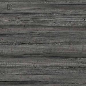 Truncus 64960610