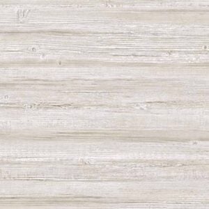 Truncus 64960615