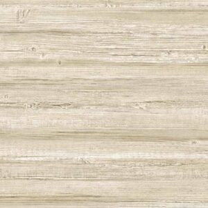 Truncus 64960617